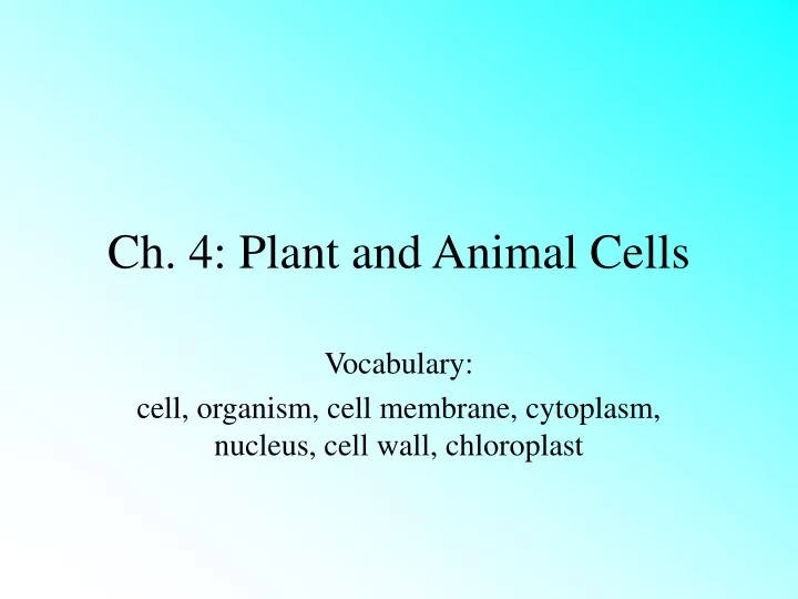 ch 4 plant and animal cells