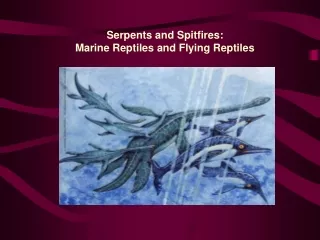 Serpents and Spitfires:  Marine Reptiles and Flying Reptiles