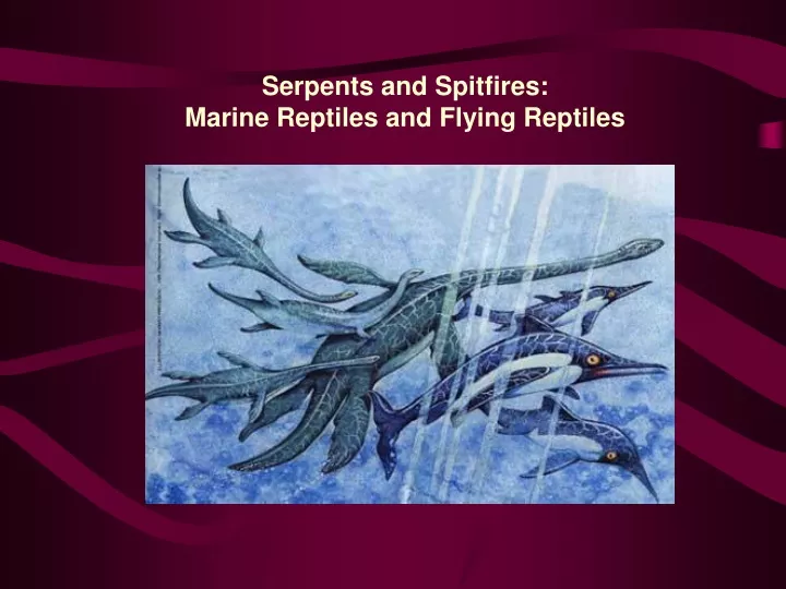 serpents and spitfires marine reptiles and flying