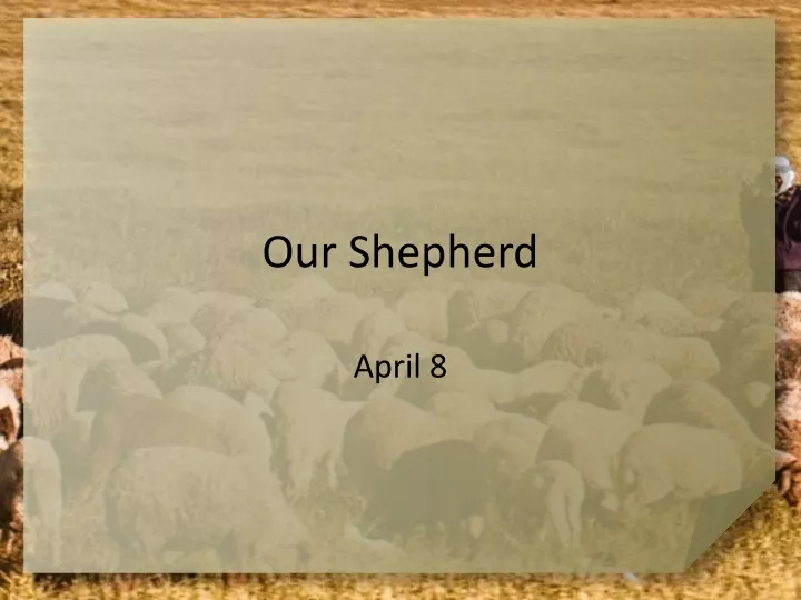 our shepherd