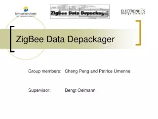 ZigBee Data Depackager