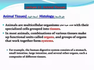 Animal Tissues أنسجة الحيوان (Histology علم الأنسجة  )