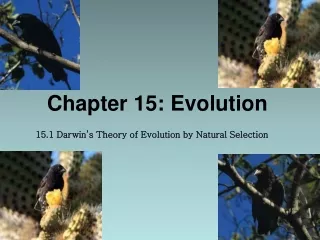 Chapter 15: Evolution