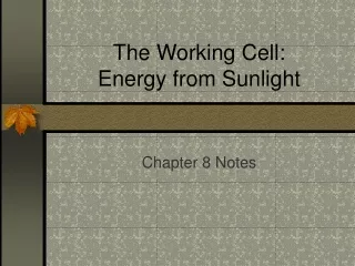 The Working Cell: Energy from Sunlight