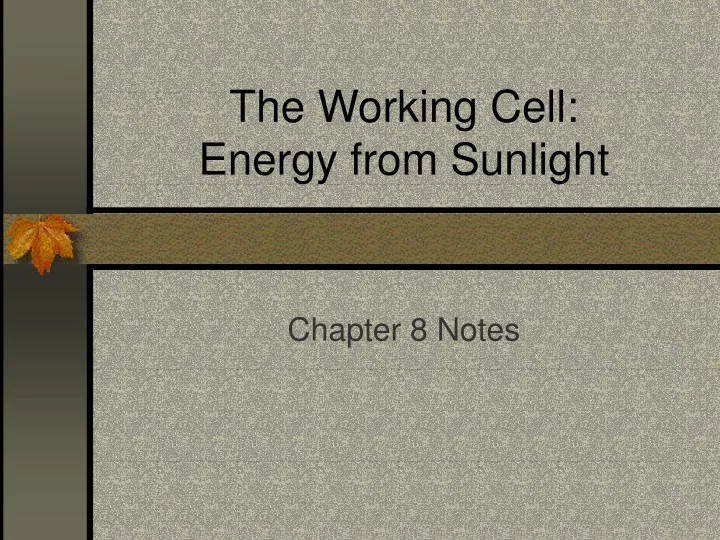 the working cell energy from sunlight