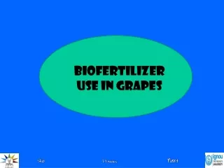 Biofertilizer Use in Grapes