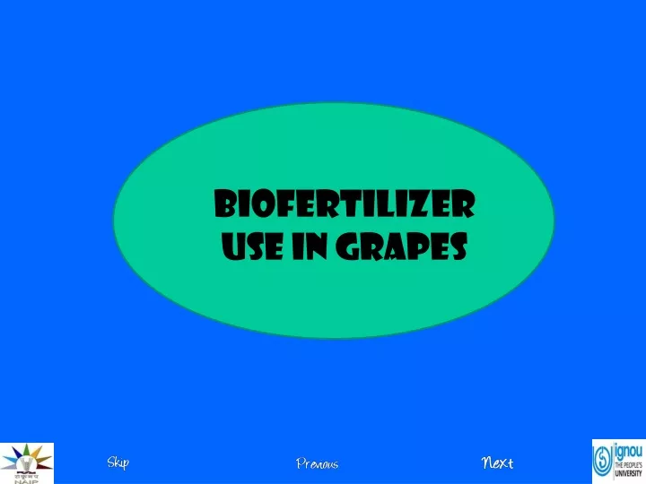 biofertilizer use in grapes