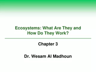 Ecosystems: What Are They and  How Do They Work?