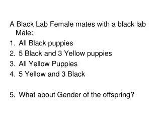 A Black Lab Female mates with a black lab Male: All Black puppies 5 Black and 3 Yellow puppies