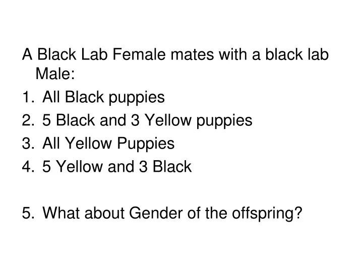 a black lab female mates with a black lab male