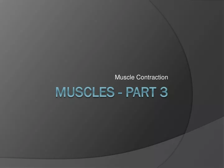 muscle contraction