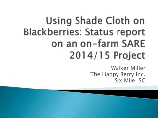 Using Shade Cloth on Blackberries: Status report on an on-farm SARE 2014/15 Project