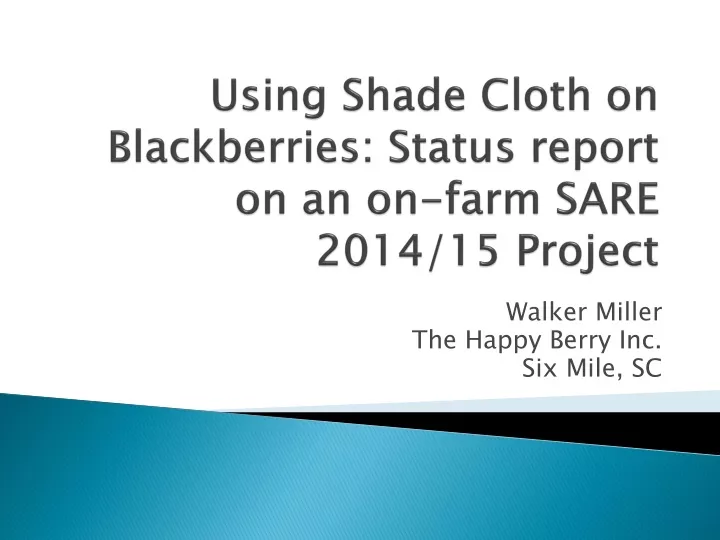 using shade cloth on blackberries status report on an on farm sare 2014 15 project