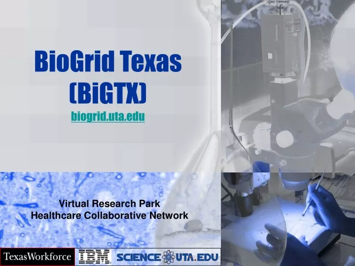 biogrid texas bigtx biogrid uta edu