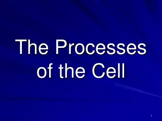 The Processes of the Cell