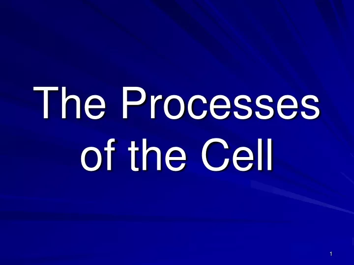 the processes of the cell