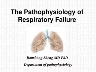 The Pathophysiology of Respiratory Failure