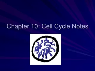 Chapter 10: Cell Cycle Notes