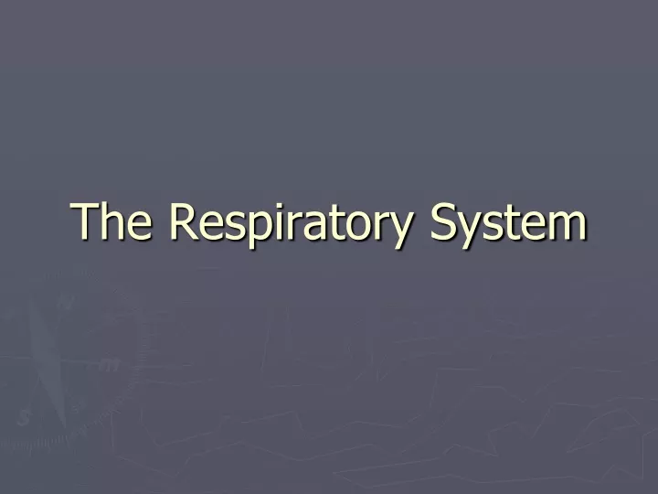 the respiratory system