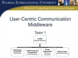 User-Centric Communication Middleware