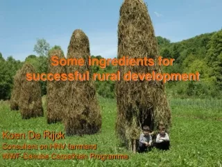 Some ingredients for successful rural development