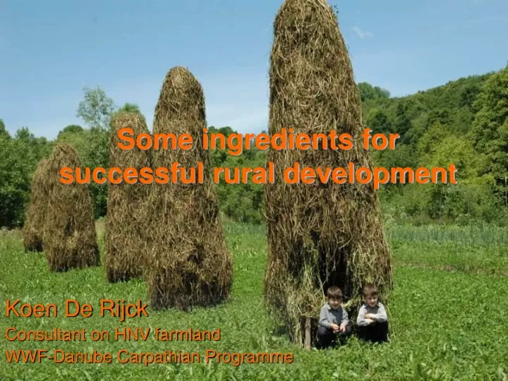 some ingredients for successful rural development