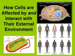How Cells are Affected by  and  Interact with Their External Environment