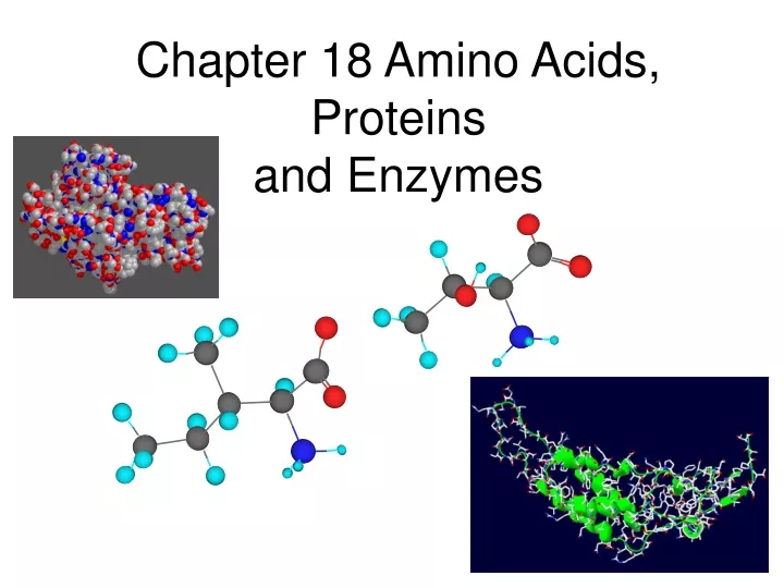chapter 18 amino acids proteins and enzymes