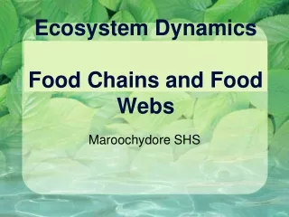Ecosystem Dynamics Food Chains and Food Webs