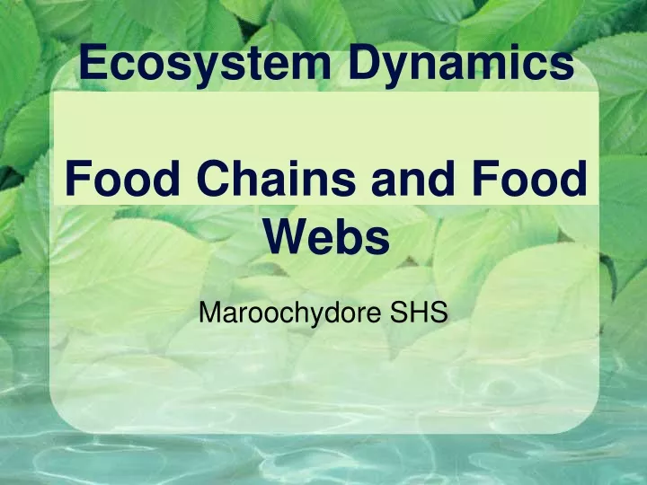 ecosystem dynamics food chains and food webs