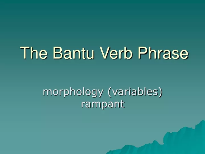 the bantu verb phrase