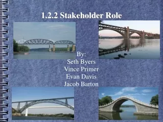 1.2.2 Stakeholder Role