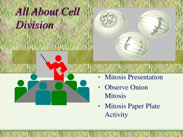 all about cell division