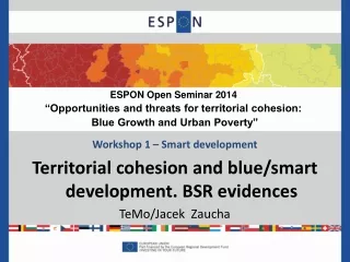 ESPON Open Seminar 2014  “Opportunities and threats for territorial cohesion: