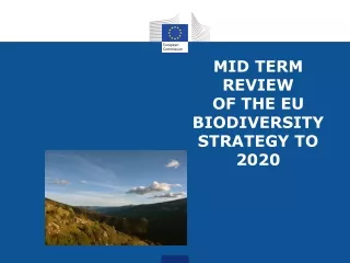 MID TERM REVIEW  OF THE EU BIODIVERSITY STRATEGY TO 2020