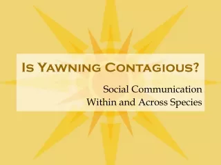 Is Yawning Contagious?