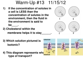 Warm-Up #13   11/15/12