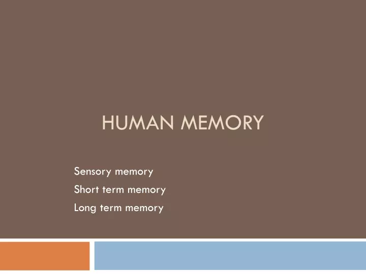 human memory
