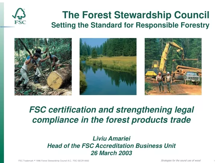 the forest stewardship council setting