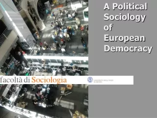 A Political Sociology  of  European Democracy