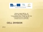 Cell Division: Understanding the Cycle and Regulation - slide 1