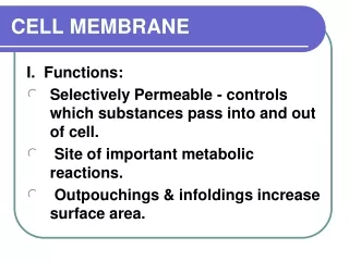 CELL MEMBRANE