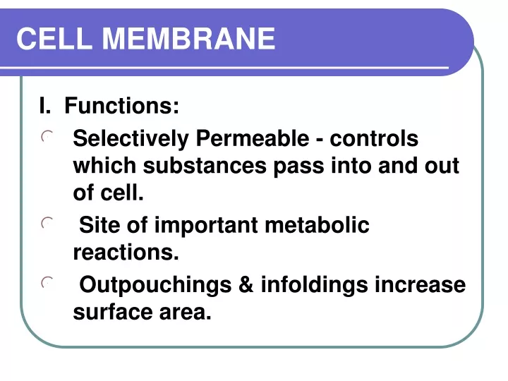 cell membrane