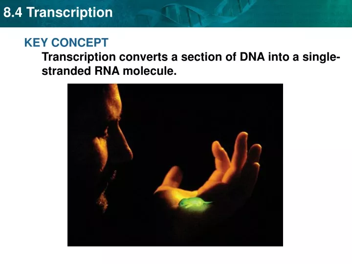 key concept transcription converts a section