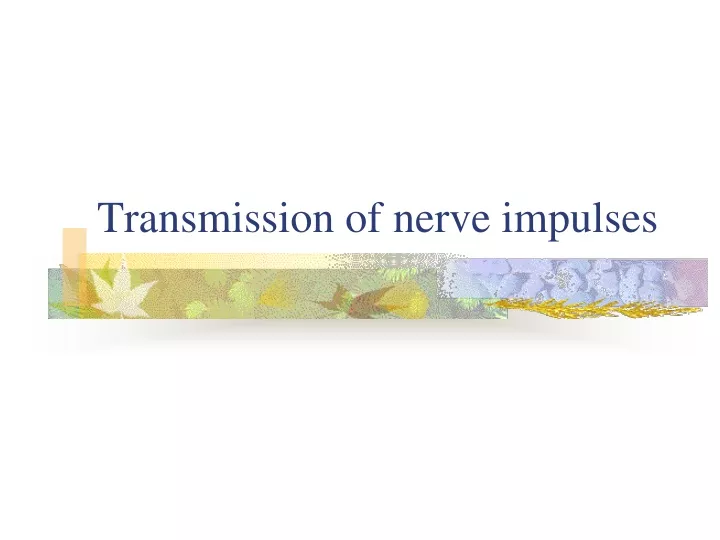 transmission of nerve impulses