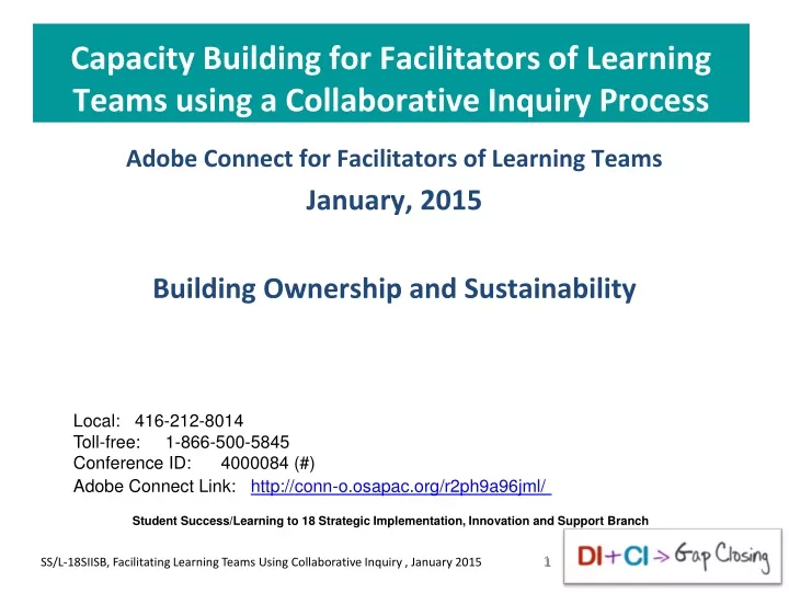 capacity building for facilitators of learning teams using a collaborative inquiry process