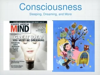 Consciousness Sleeping, Dreaming, and More