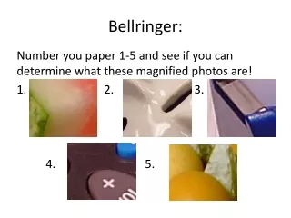 Bellringer: