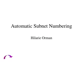 Automatic Subnet Numbering