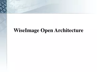 WiseImage Open Architecture